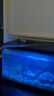 東部工品加長(cháng)鑷子魚(yú)缸水族箱不銹鋼加厚水草夾子喂烏龜多肉蝎子工具 曬單實(shí)拍圖