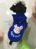 秋冬裝狗衣服 小寵物 泰迪狗狗衣服 小型犬 春夏裝幼犬衣服 前腳雙腳衣服 萌寵服裝 小犬外套 貓外套 帶帽狗深藍 XS適合背長16cm胸圍27cm體重1-2斤 曬單實拍圖