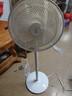 鉆石牌（DIAMOND）電風(fēng)扇落地扇家用節能落地風(fēng)扇學(xué)生立式大風(fēng)量客廳宿舍機械輕音電扇SN 16英寸7葉【香薰祛蚊丨輕音省電】 曬單實(shí)拍圖