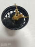勝畫(huà)銅錢(qián)草魚(yú)缸水草水培植物直接入缸造景蜈蚣草凈化水質(zhì)古法養魚(yú)草 銅錢(qián)草1盆約15-20根 曬單實(shí)拍圖