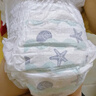 碧芭寶貝盛夏光年拉拉褲XXXXL24片(≥19kg)學(xué)步褲 夏季超薄 透氣超大號 曬單實(shí)拍圖