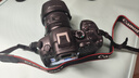 佳能（Canon）EOS R6 Mark II 全畫(huà)幅微單數碼相機R6二代 單機身 （約40張每秒連拍/6K超采樣4K短片） 曬單實(shí)拍圖