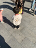 幼歌（YOUGE）兒童卡通舒適毛衣開(kāi)衫2023新款寶寶森系浪漫圓領(lǐng)上衣潮 淺杏 100 cm 曬單實(shí)拍圖