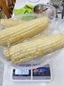 京鮮生東北白糯玉米250g*10棒 新鮮甜糯玉米棒真空包裝粘玉米 源頭直發(fā) 曬單實(shí)拍圖