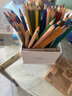輝柏嘉（Faber-castell）彩鉛筆72色水溶性彩鉛套裝學(xué)生48色彩鉛教程手繪畫(huà)美術(shù)彩色鉛筆 48色彩鉛禮盒（多功能鉛筆+水筆+擦改筆+筆筒） 曬單實(shí)拍圖