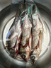 貓撲魚(yú)（mao pu yu）微山湖生態(tài)鯽魚(yú)(凈膛) 淡水魚(yú)現捕現殺 生鮮 老人孕產(chǎn)婦燉湯 三斤大號鯽魚(yú)（每斤2-3條） 曬單實(shí)拍圖
