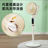 美菱（MeiLing）空氣循環(huán)扇四季負(fù)離子凈化扇家用落地扇電風(fēng)扇輕音桌面小風(fēng)扇空調(diào)伴侶3D臺(tái)式搖頭電扇 機(jī)械款【上下左右自動(dòng)搖頭+香薰驅(qū)蚊】 曬單實(shí)拍圖