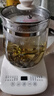 九陽（Joyoung）0膠水養(yǎng)生壺 1.5L煮茶器 玻璃花茶壺 316不銹鋼燒水壺電熱水壺 WY301 曬單實(shí)拍圖