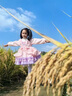 G.DUCKKIDS童裝洛麗塔公主裙女童連衣裙秋冬季加絨加厚玲娜貝兒生日禮服兒童 8818粉色洛麗塔【不加絨】 120 尺碼5~6歲【110-120cm】 曬單實拍圖