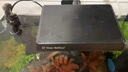 尼奧光魚(yú)缸燈水草燈LED燈S3proRGB植物光譜 8W新款尼奧S3pro【高亮自然版 雙倍亮度】 曬單實(shí)拍圖