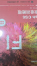 Flash CS6標準培訓教程（數藝設出品） 曬單實(shí)拍圖