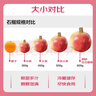 京鮮生 突尼斯軟籽石榴巨無(wú)霸果 8粒禮盒裝單果500g+水果禮盒 曬單實(shí)拍圖