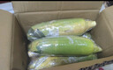 京鮮生云南水果玉米5斤 鮮甜玉米棒 甜脆多汁 新鮮蔬菜 源頭直發(fā)包郵 曬單實(shí)拍圖
