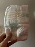 好奇（Huggies）小森林深睡大師系列紙尿褲試用裝S4片透氧防漏尿不濕新生兒 曬單實拍圖