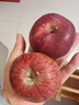 集南鮮 花牛蘋(píng)果 甘肅當季新鮮紅蛇粉面蘋(píng)果 嬰兒輔食水果中秋禮盒送禮 5斤甄選果 單果60-70mm 凈重4.5斤 曬單實(shí)拍圖