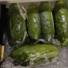 密園小農(nóng) 密云本地7寸黃瓜 新鮮蔬菜 2.5kg 曬單實(shí)拍圖