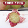 【順豐JD】馬陸葡萄上海嘉定巨峰玫瑰香葡萄新鮮直達(dá)水果次日發(fā) 5斤（凈重4.5-4.8斤） 【人氣單品】巨峰葡萄 曬單實(shí)拍圖