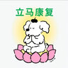 LP 運動護膝透氣可調(diào)式膝蓋髕骨穩(wěn)定加壓球類運動護具790KM 黑色單只 L/XL 曬單實拍圖