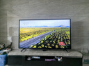FFALCON雷鳥(niǎo)鶴6 26款 85英寸 萬(wàn)象分區QD-MiniLED1300nits 高階HVA安橋音響288Hz高刷 平板游戲電視85R69A 曬單實(shí)拍圖