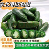 精選新鮮港椒墨西哥辣椒泡椒香辣薄皮肉厚當季農(nóng)家自種整箱 現(xiàn)摘現(xiàn)發(fā) 5斤 曬單實拍圖