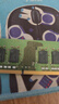 聯(lián)想（Lenovo）16GB DDR4 2666 筆記本內存條 曬單實(shí)拍圖