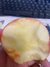 洛川蘋(píng)果（luochuanapple）【順豐】陜西延安紅富士蘋(píng)果洛川蘋(píng)果產(chǎn)地直發(fā)脆甜多汁能帶皮吃 12枚75mm 中小果 白領(lǐng)裝 彩箱 曬單實(shí)拍圖