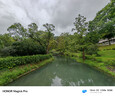 榮耀Magic6 Pro 榮耀鴻燕通信 榮耀巨犀玻璃 第三代驍龍8 16+512 絨黑色 長(cháng)續航 國家補貼 5G AI手機 曬單實(shí)拍圖
