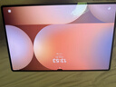 三星（SAMSUNG）Galaxy Tab S10 Ultra X920/X926 14.6英寸平板電腦2024款 AI智享 高亮順滑防眩光全視屏 含S Pen 鈦影灰 WIFI版【12G+256G】 曬單實(shí)拍圖