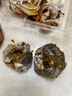 【自選】植物大戰僵尸2機器人漫畫(huà)1-28冊  最新末日星球 萬(wàn)能機器人 海神的懲罰 笑江南編繪6-9-12歲小學(xué)生少年科普百科漫畫(huà) 植物大戰僵尸機器人漫畫(huà)1-28冊 【26】末日星球 曬單實(shí)拍圖