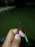 黃金眼蘆葦電子漂高靈敏日夜兩用夜光漂醒目組合浮漂夜釣鯽魚(yú)鯉魚(yú)草魚(yú)標(biāo) 黃金眼蘆葦電子漂DL-06(CR425) 1號(hào)一支 曬單實(shí)拍圖