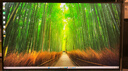 三星（SAMSUNG）32英寸 S80UD 4K IPS HDR Type-C90W HDMI DP 便攜安裝底座 升降旋轉 辦公顯示器 LS32D802UBCXXF 曬單實(shí)拍圖