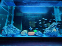 魚(yú)呼吸魚(yú)缸增氧泵養魚(yú)加氧氣泵 安靜充氧機充電攜帶便攜式戶(hù)外釣魚(yú) 氧氣管2米 曬單實(shí)拍圖