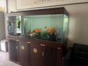 江彩魚(yú)缸客廳2025新款中大型底濾新中式超白辦公室龍魚(yú)缸水族箱 長(cháng)180x寬60x缸75x總高166cm 曬單實(shí)拍圖