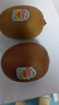 佳沛（zespri）新西蘭 陽(yáng)光金奇異果12粒禮盒特大果單果約122-146g 獼猴桃 水果 曬單實(shí)拍圖