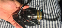SHIMANO禧瑪諾LA-C51X/LA-C51T 日本產(chǎn)磯釣主線(xiàn)150米尼龍魚(yú)線(xiàn)磯釣線(xiàn) 1.5號－150米（LA-C51X） 曬單實(shí)拍圖