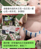 家中有果盆栽花卉十里飄香白蘭花盆栽木蘭花苗 香味持久 曬單實(shí)拍圖