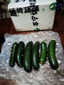 山東一口脆即食迷你水果黃瓜  京東快遞包郵 帶箱2斤 曬單實(shí)拍圖