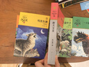多選 狼王夢(mèng) 沈石溪 動(dòng)物小說(shuō)全集系列8-10-12-15周歲兒童文學(xué)2021新版三四五六年級中小學(xué)生課外書(shū)正版 一只獵雕的遭遇 曬單實(shí)拍圖