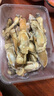 果匯堂蟶子鮮活蟶王海蟶子現(xiàn)撈現(xiàn)發(fā)肥嫩活發(fā)帶殼無(wú)污染新鮮蟶子 1kg 曬單實(shí)拍圖