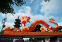 索尼（SONY）FE 24-70mm F2.8 GM II 全畫(huà)幅標準變焦 G大師鏡頭 恒定光圈 廣角到中焦距 SEL2470GM2 二代【贈黑鷂肩帶+清】 標配 曬單實(shí)拍圖
