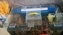 bubble-magus魚(yú)缸蓋板托架支架亞克力卡扣防跳網(wǎng)龜缸水族箱透明上濾支撐架子 托架1個(gè)-可夾5毫米玻璃 曬單實(shí)拍圖