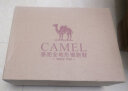 骆驼（CAMEL）网面透气跑步女鞋轻量健步运动鞋子  CD2223L6852 黑色 39 实拍图