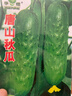 水果黃瓜種子高產(chǎn)壓趴架四季盆栽春秋黃瓜種旱籽大棚陽(yáng)臺蔬菜種子 原裝正品唐山秋瓜種子約50粒 1包 曬單實(shí)拍圖
