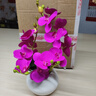 仿真蝴蝶蘭假花絹花藝套裝擺件客廳電視柜餐桌裝飾娟花盆栽擺設 紫色套裝 曬單實(shí)拍圖