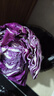 新鮮紫甘藍生吃涼拌沙拉清脆爽口紫包菜農家自種現采現發(fā)新鮮蔬菜 清晨現采紫甘藍5.5-6斤【單顆≥600g】 曬單實(shí)拍圖