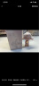 POP MART泡泡玛特 SKULLPANDA 庭前墨梅系列手办盲盒玩具摆件生日礼物 单盒（随机发 拍12个非整盒 实拍图