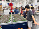 稚樂(lè )（ZARL）冰柜商用 冰柜展示柜大容量島柜  展示柜冷藏保鮮柜 冷凍展示柜冷柜冰箱玻璃門(mén)雪糕柜超市電冰柜 1.8米【變頻節能省電低耗】保鮮/冷凍 曬單實(shí)拍圖