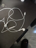 Apple/蘋(píng)果 閃電/Lightning接口有線(xiàn)耳機 蘋(píng)果耳機有線(xiàn)耳機原裝耳機 適用閃電接口的手機平板 曬單實(shí)拍圖