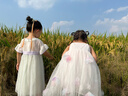 班喜迪女童夏季連衣裙2025新款洋氣兒童吊帶裙夏裝女寶寶公主裙周歲禮服 粉色 120 曬單實(shí)拍圖