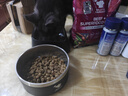 比利瑪格澳洲進(jìn)口高蛋白牛肉配方狗糧10.8kg（9kg+1.8kg搭贈品牌碗） 曬單實(shí)拍圖
